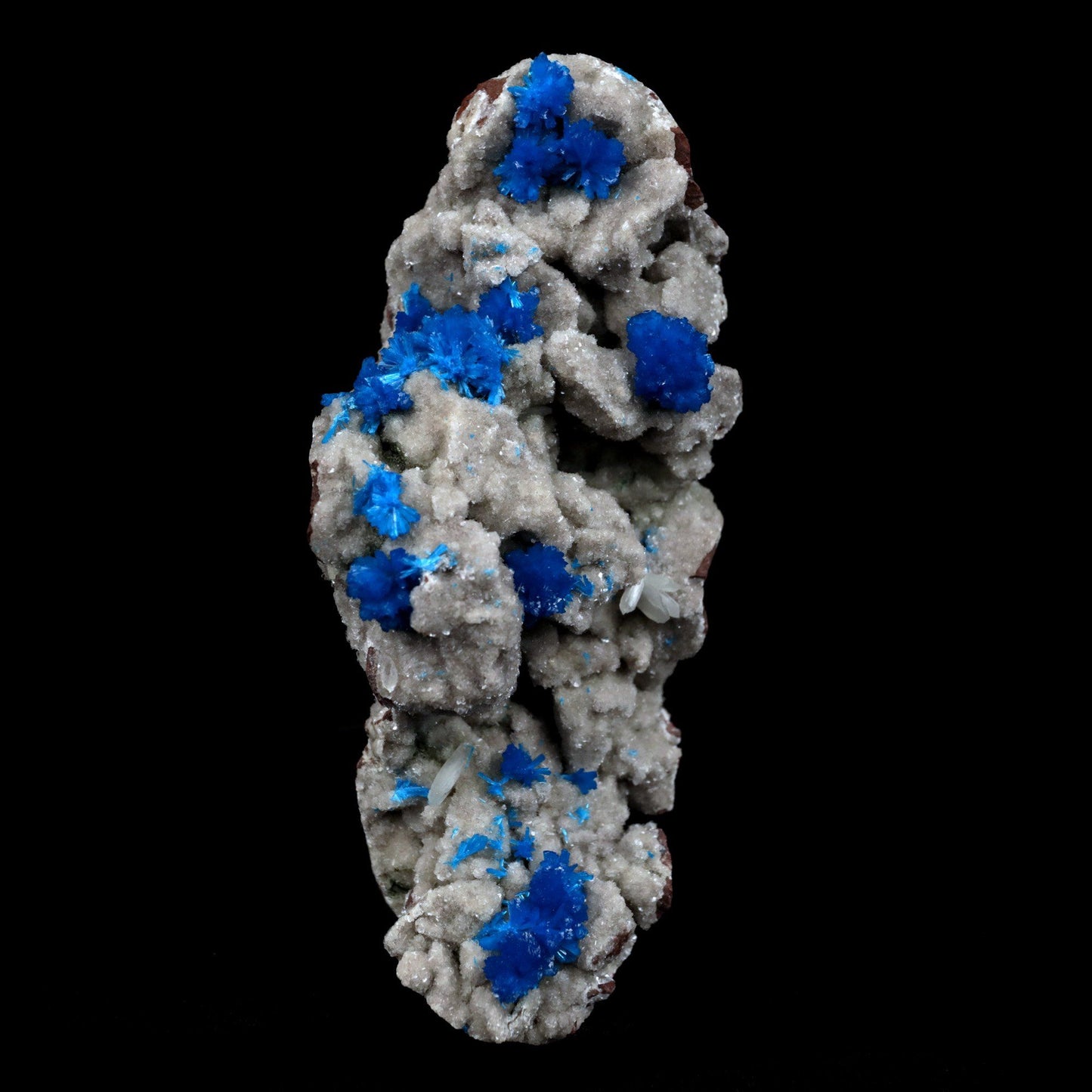 Cavansite Balls on Heuandite Cluster (Rare Find) Natural Mineral Speci…  https://www.superbminerals.us/products/cavansite-balls-on-heuandite-cluster-rare-find-natural-mineral-specimen-b-4870  Features: This magnificent piece is composed of a radial group of superb deep blue Cavansite crystals on basalt, You can see several various forms of crystallisation in this piece, all of which have the same, strong, saturated blue colour that is honestly SO blue that it appears to be a fake