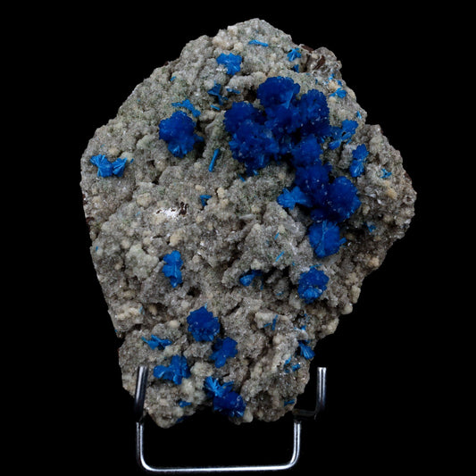 Cavansite Balls on Heuandite Natural Mineral Specimen # B 4868  https://www.superbminerals.us/products/cavansite-balls-on-heuandite-natural-mineral-specimen-b-4868  Features: This magnificent piece is composed of a radial group of superb deep blue Cavansite crystals on basalt, with accompanying beige micro-crystals of Heulandite.In spite of the fact that there is no evident damage, the front of the Cavansite "balls" has a little separation mark where it has grown up against 