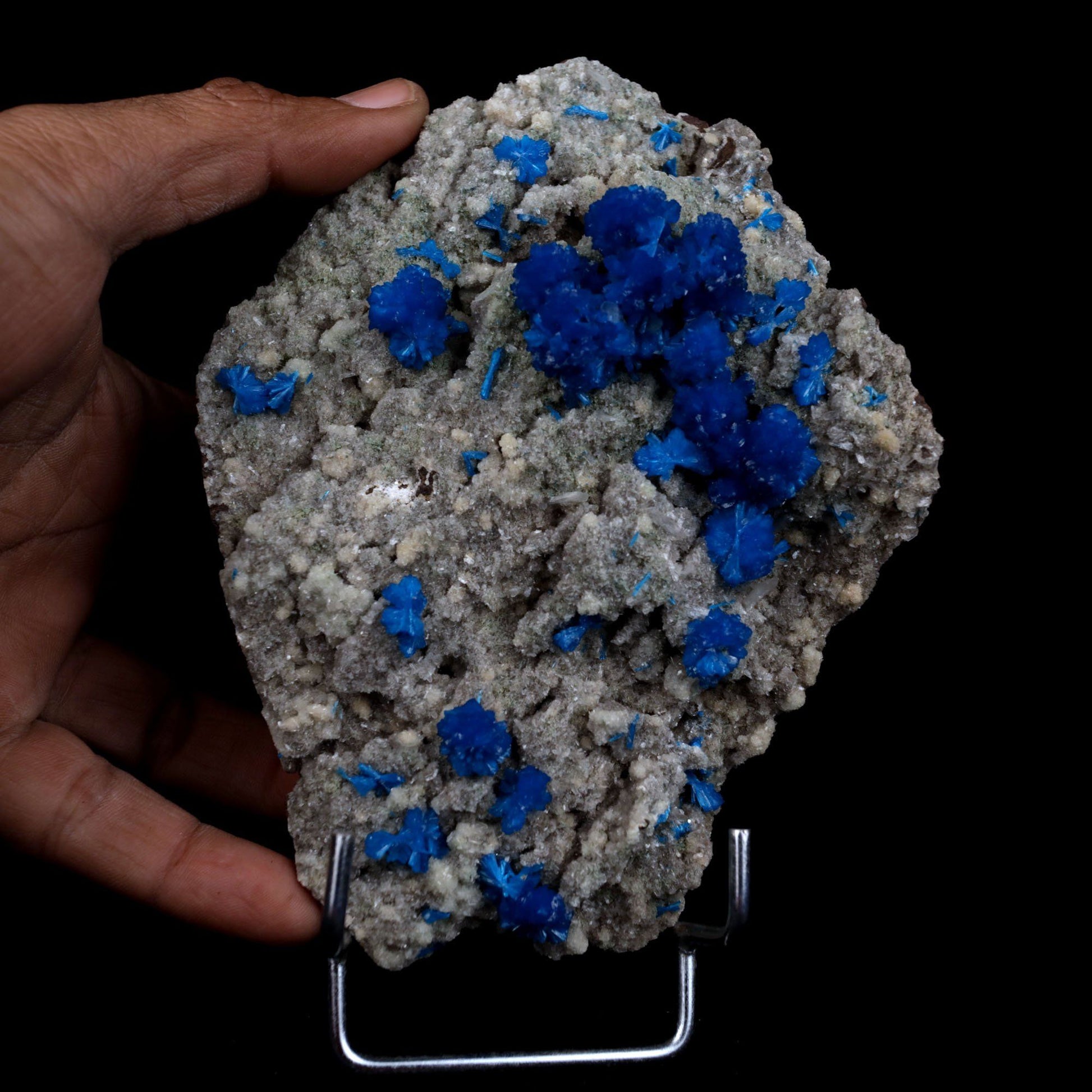 Cavansite Balls on Heuandite Natural Mineral Specimen # B 4868  https://www.superbminerals.us/products/cavansite-balls-on-heuandite-natural-mineral-specimen-b-4868  Features: This magnificent piece is composed of a radial group of superb deep blue Cavansite crystals on basalt, with accompanying beige micro-crystals of Heulandite.In spite of the fact that there is no evident damage, the front of the Cavansite "balls" has a little separation mark where it has grown up against 
