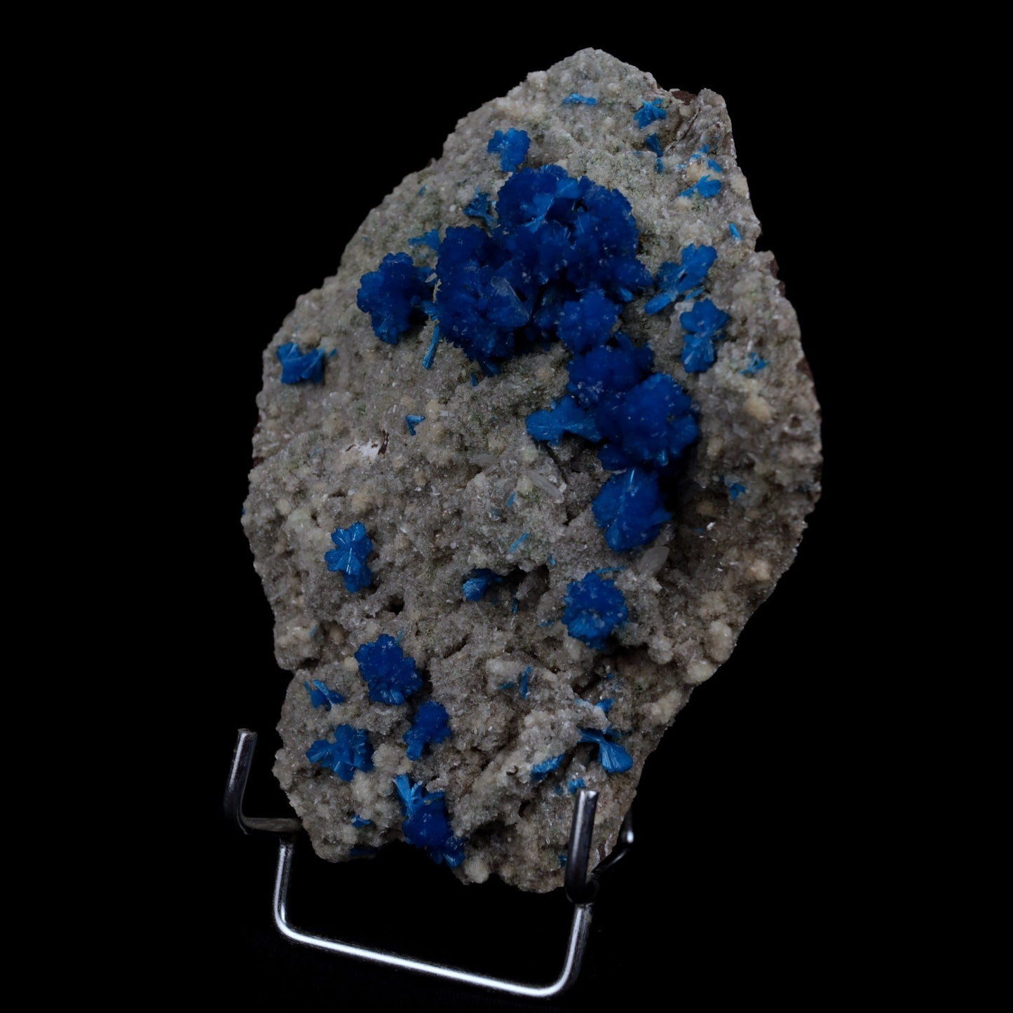 Cavansite Balls on Heuandite Natural Mineral Specimen # B 4868  https://www.superbminerals.us/products/cavansite-balls-on-heuandite-natural-mineral-specimen-b-4868  Features: This magnificent piece is composed of a radial group of superb deep blue Cavansite crystals on basalt, with accompanying beige micro-crystals of Heulandite.In spite of the fact that there is no evident damage, the front of the Cavansite "balls" has a little separation mark where it has grown up against 
