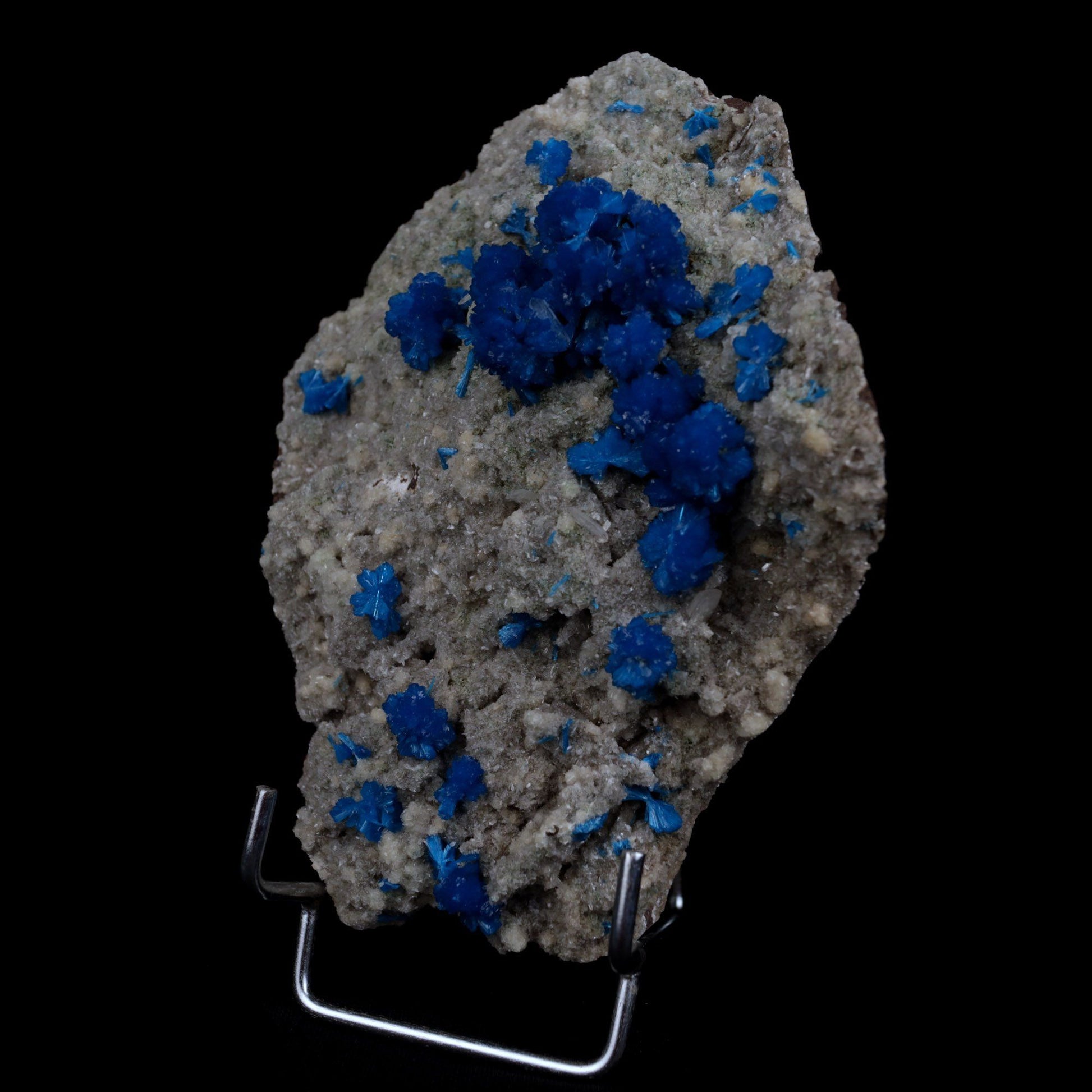 Cavansite Balls on Heuandite Natural Mineral Specimen # B 4868  https://www.superbminerals.us/products/cavansite-balls-on-heuandite-natural-mineral-specimen-b-4868  Features: This magnificent piece is composed of a radial group of superb deep blue Cavansite crystals on basalt, with accompanying beige micro-crystals of Heulandite.In spite of the fact that there is no evident damage, the front of the Cavansite "balls" has a little separation mark where it has grown up against 