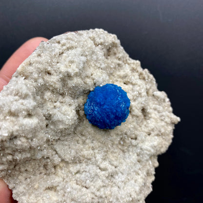 Cavansite Deep Blue on Heulandite Matrix Natural Mineral Specimen # DK183 Cavansite Superb Minerals 