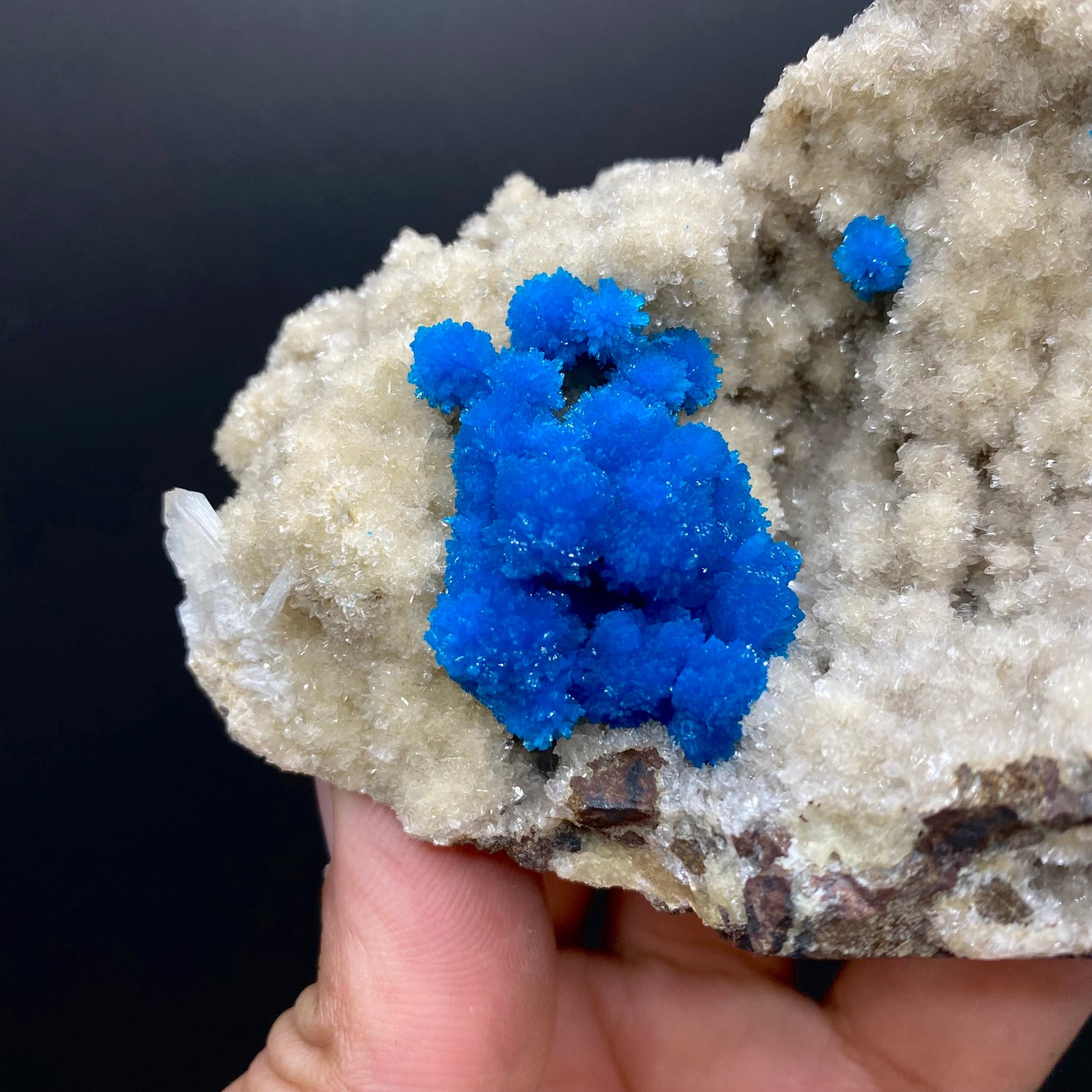 Cavansite DK163 Superb Minerals 