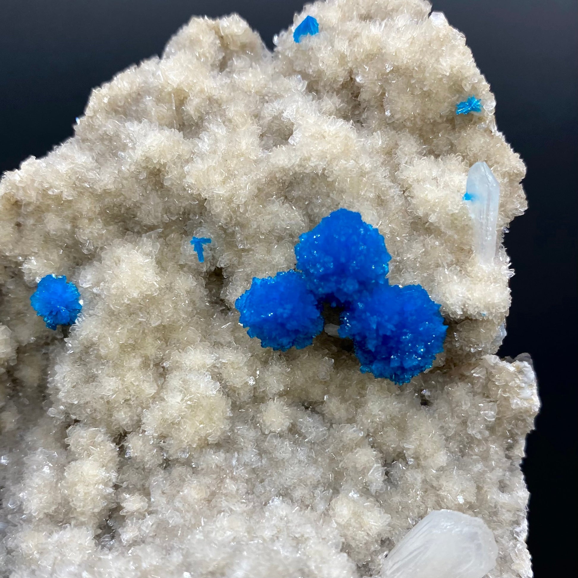 Cavansite DK163 Superb Minerals 