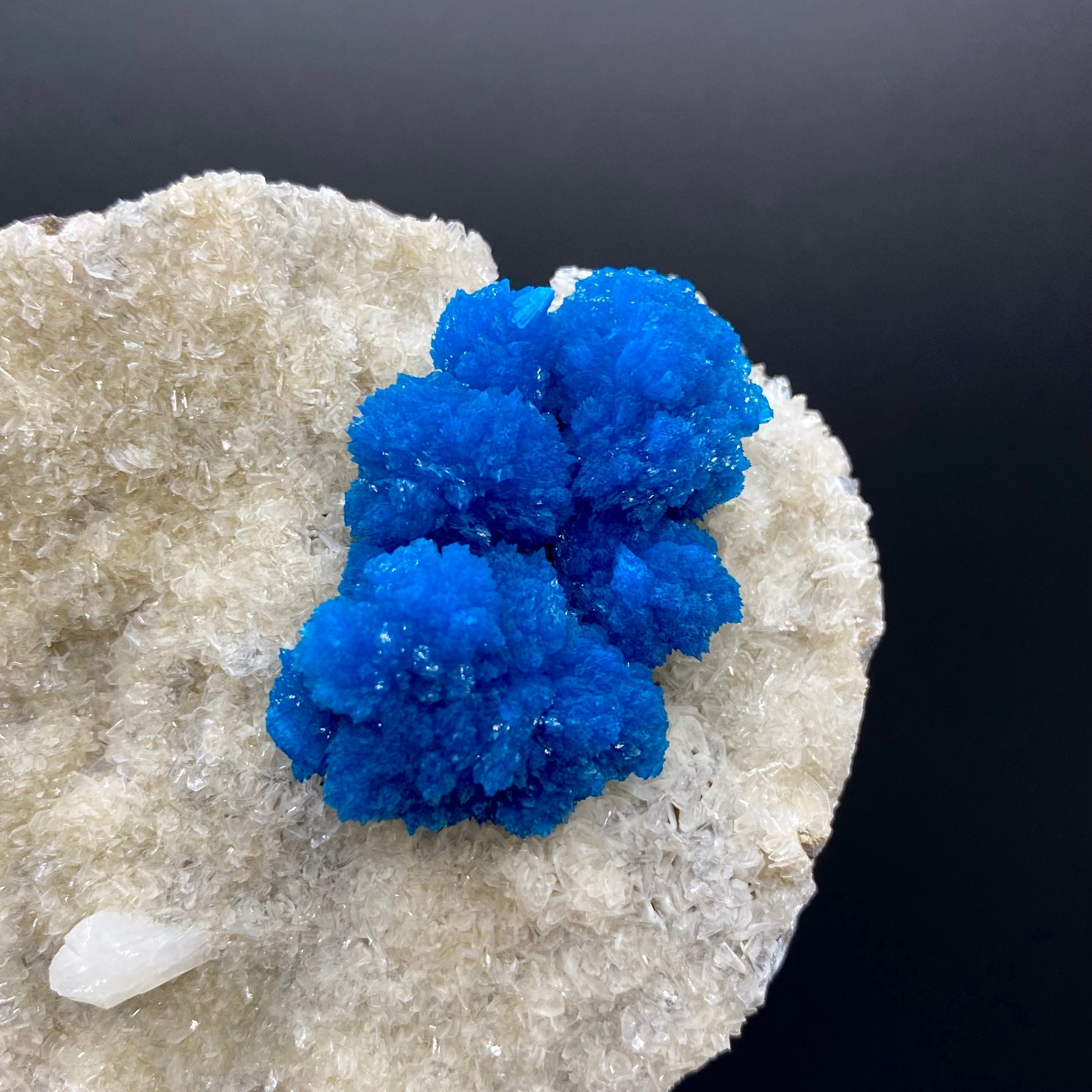 Cavansite DK171 Cavansite Superb Minerals 