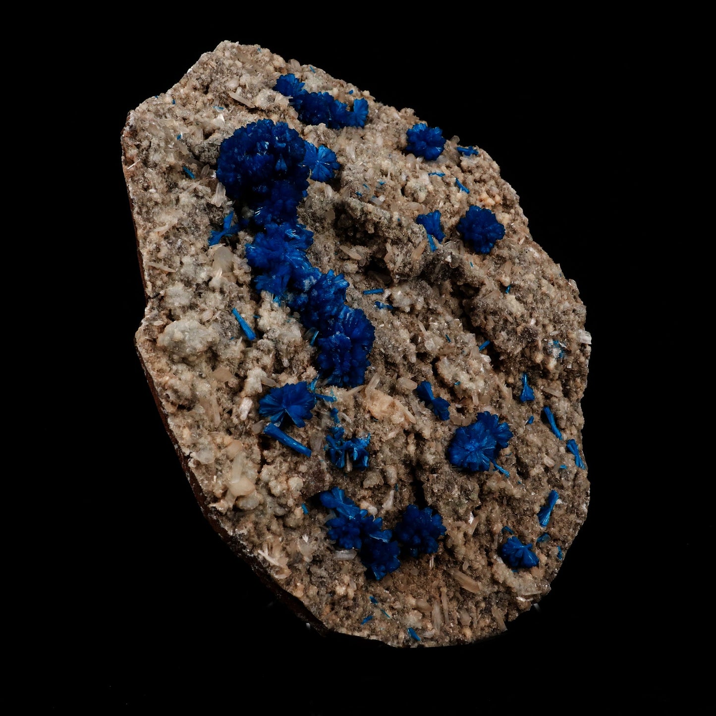 Cavansite on Heulandite Natural Mineral Specimen # B 5317  https://www.superbminerals.us/products/cavansite-on-heulandite-natural-mineral-specimen-b-5317  Features: Crystals of deep blue cavansite on white heulandite. Perfectly crafted from the legendary, closed Wagholi Mines in&nbsp; Poona, Maharashtra. Primary Mineral(s):&nbsp;Cavansite Secondary Mineral(s):&nbsp;N/AMatrix:&nbsp;Heulandite 7.5&nbsp;Inch x&nbsp;5.5 InchWeight :&nbsp;1452 GmsLocality: Pune, Maharashtra