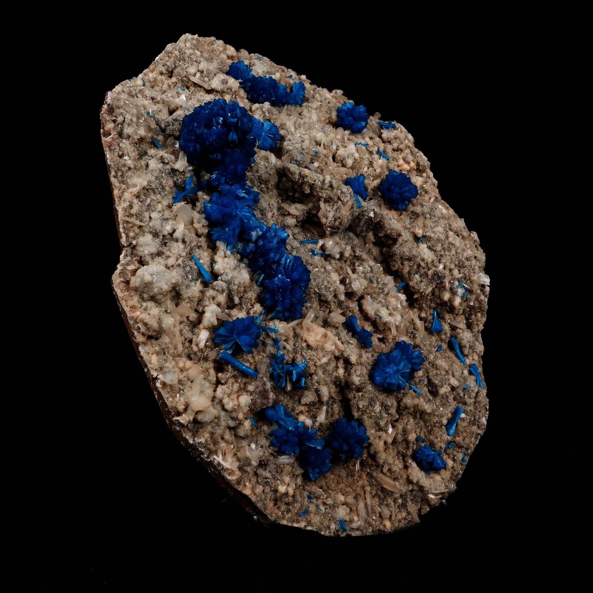 Cavansite on Heulandite Natural Mineral Specimen # B 5317  https://www.superbminerals.us/products/cavansite-on-heulandite-natural-mineral-specimen-b-5317  Features: Crystals of deep blue cavansite on white heulandite. Perfectly crafted from the legendary, closed Wagholi Mines in&nbsp; Poona, Maharashtra. Primary Mineral(s):&nbsp;Cavansite Secondary Mineral(s):&nbsp;N/AMatrix:&nbsp;Heulandite 7.5&nbsp;Inch x&nbsp;5.5 InchWeight :&nbsp;1452 GmsLocality: Pune, Maharashtra