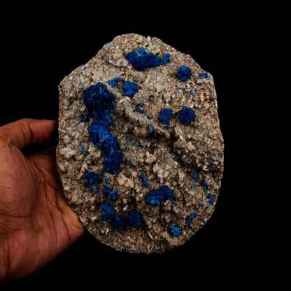 Cavansite on Heulandite Natural Mineral Specimen # B 5317  https://www.superbminerals.us/products/cavansite-on-heulandite-natural-mineral-specimen-b-5317  Features: Crystals of deep blue cavansite on white heulandite. Perfectly crafted from the legendary, closed Wagholi Mines in&nbsp; Poona, Maharashtra. Primary Mineral(s):&nbsp;Cavansite Secondary Mineral(s):&nbsp;N/AMatrix:&nbsp;Heulandite 7.5&nbsp;Inch x&nbsp;5.5 InchWeight :&nbsp;1452 GmsLocality: Pune, Maharashtra