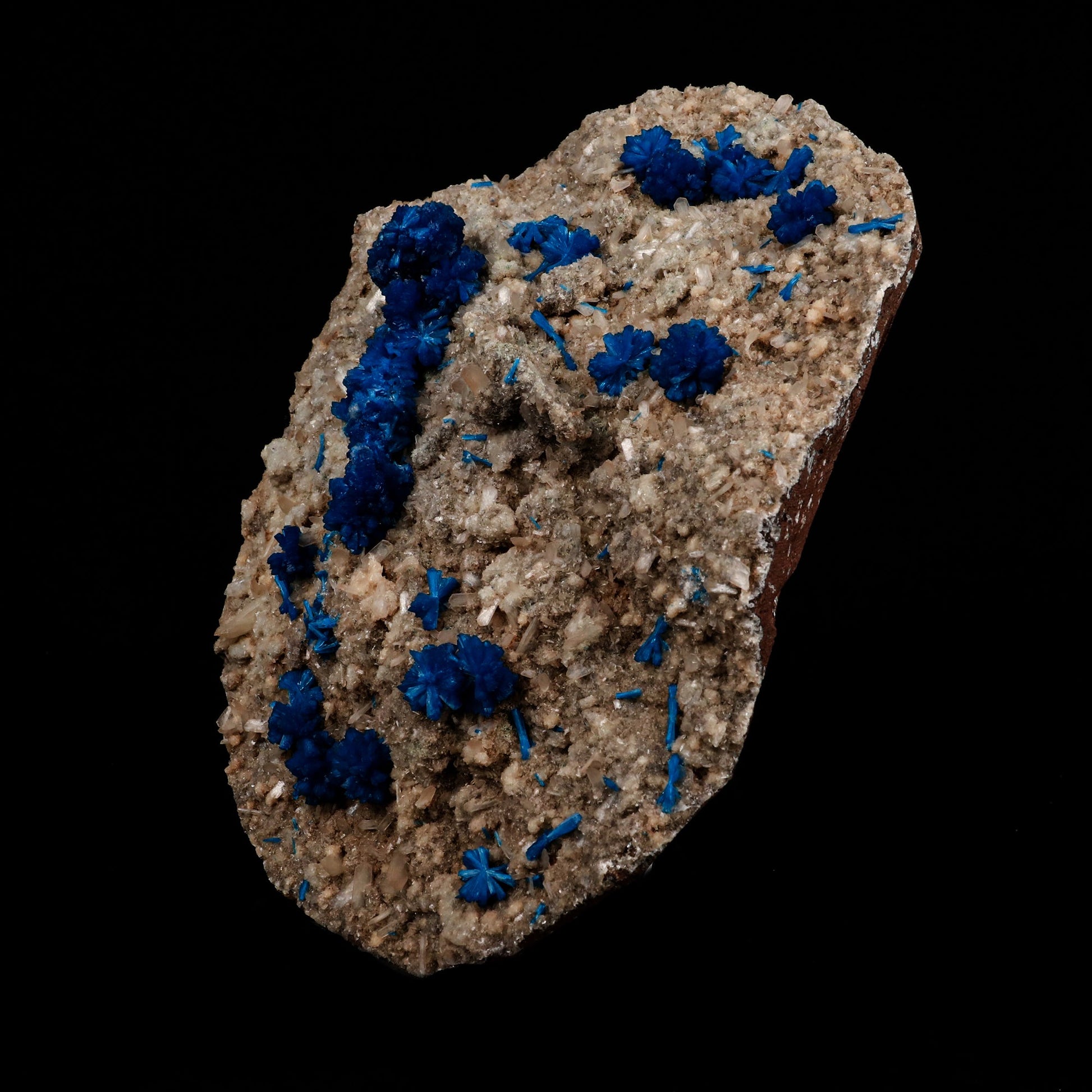 Cavansite on Heulandite Natural Mineral Specimen # B 5317  https://www.superbminerals.us/products/cavansite-on-heulandite-natural-mineral-specimen-b-5317  Features: Crystals of deep blue cavansite on white heulandite. Perfectly crafted from the legendary, closed Wagholi Mines in&nbsp; Poona, Maharashtra. Primary Mineral(s):&nbsp;Cavansite Secondary Mineral(s):&nbsp;N/AMatrix:&nbsp;Heulandite 7.5&nbsp;Inch x&nbsp;5.5 InchWeight :&nbsp;1452 GmsLocality: Pune, Maharashtra