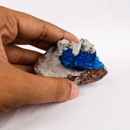 Cavansite on Heulandite (Rare Find) Free Standing Natural Mineral Specimen # B 6294 Cavansite Superb Minerals 