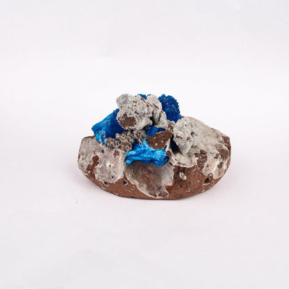 Cavansite on Heulandite (Rare Find) Free Standing Natural Mineral Specimen # B 6294 Cavansite Superb Minerals 