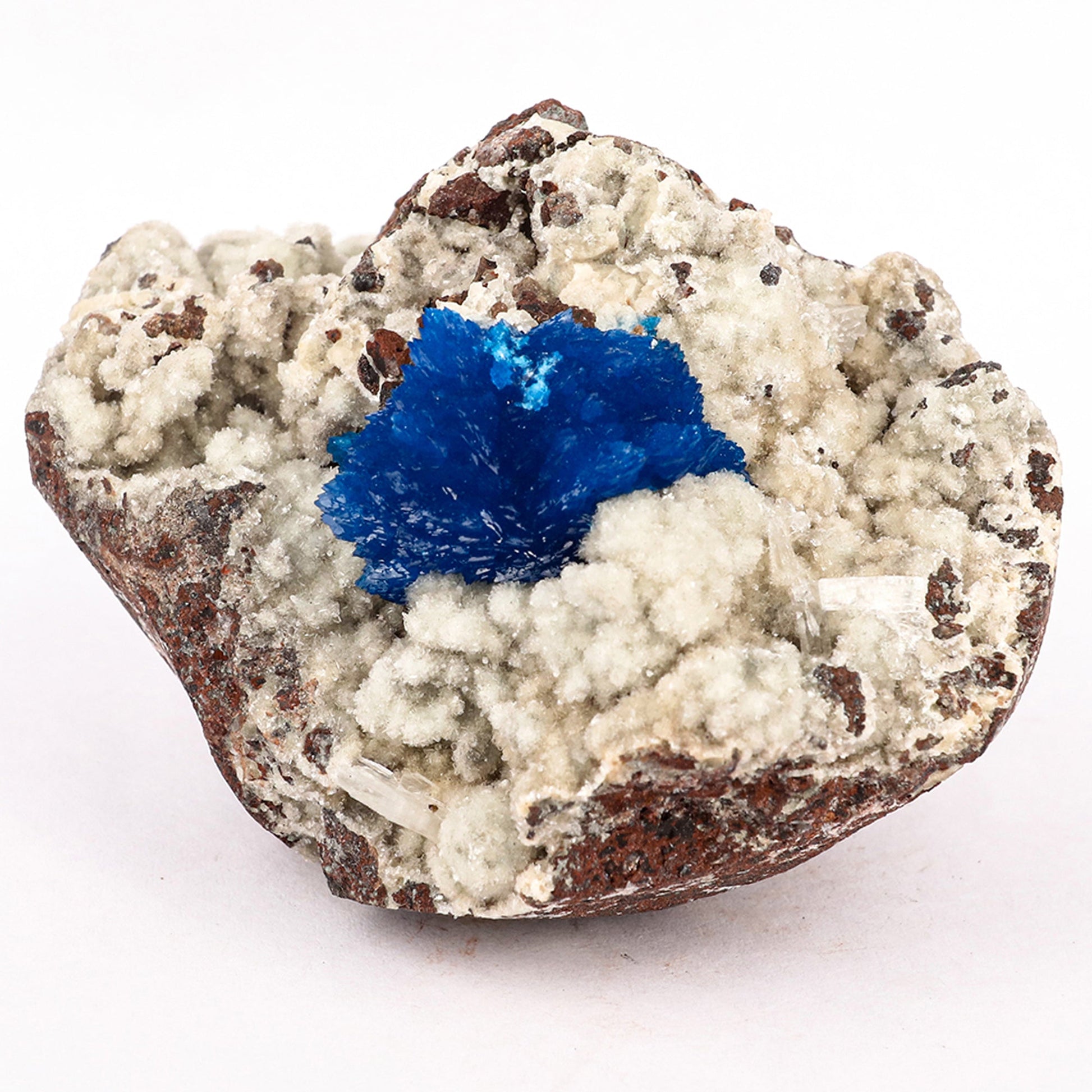 Cavansite on Heulandite (Rare Find) Free Standing Natural Mineral Specimen # B 6374 Cavansite Superb Minerals 