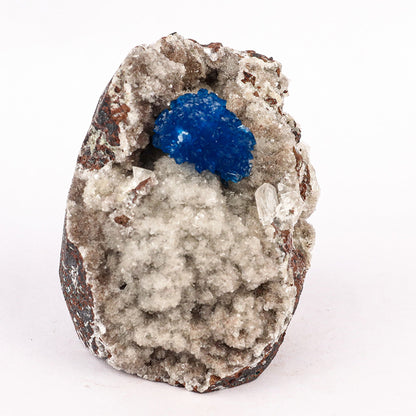 Cavansite on Heulandite (Rare Find) Natural Mineral Specimen # B 6380 Cavansite Superb Minerals 