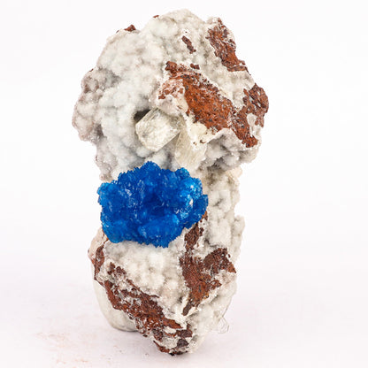 Cavansite on Heulandite (Rare Find) Natural Mineral Specimen # B 6383 Cavansite Superb Minerals 