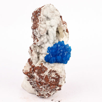 Cavansite on Heulandite (Rare Find) Natural Mineral Specimen # B 6383 Cavansite Superb Minerals 