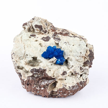 Cavansite on Heulandite (Rare Find) Natural Mineral Specimen # B 6479 Cavansite Superb Minerals 