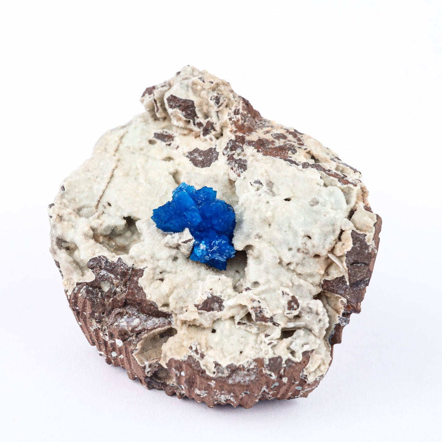 Cavansite on Heulandite (Rare Find) Natural Mineral Specimen # B 6479 Cavansite Superb Minerals 