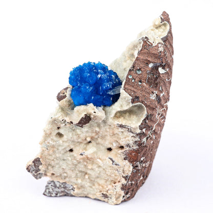 Cavansite on Heulandite (Rare Find) Natural Mineral Specimen # B 6500 Cavansite Superb Minerals 