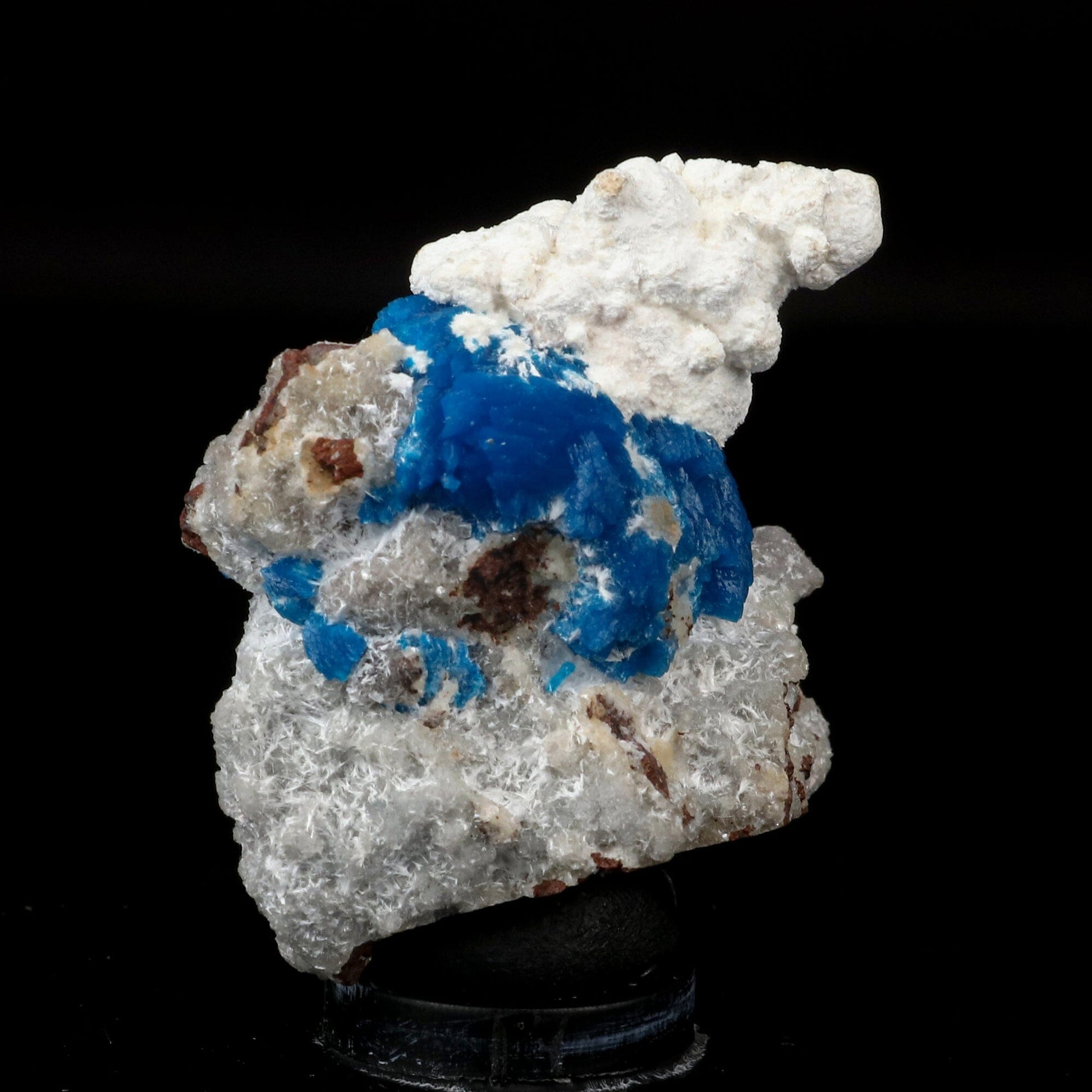 Cavansite on Modernite (Rare Find) Natural Mineral Specimen # B 6707 Cavansite Superb Minerals 