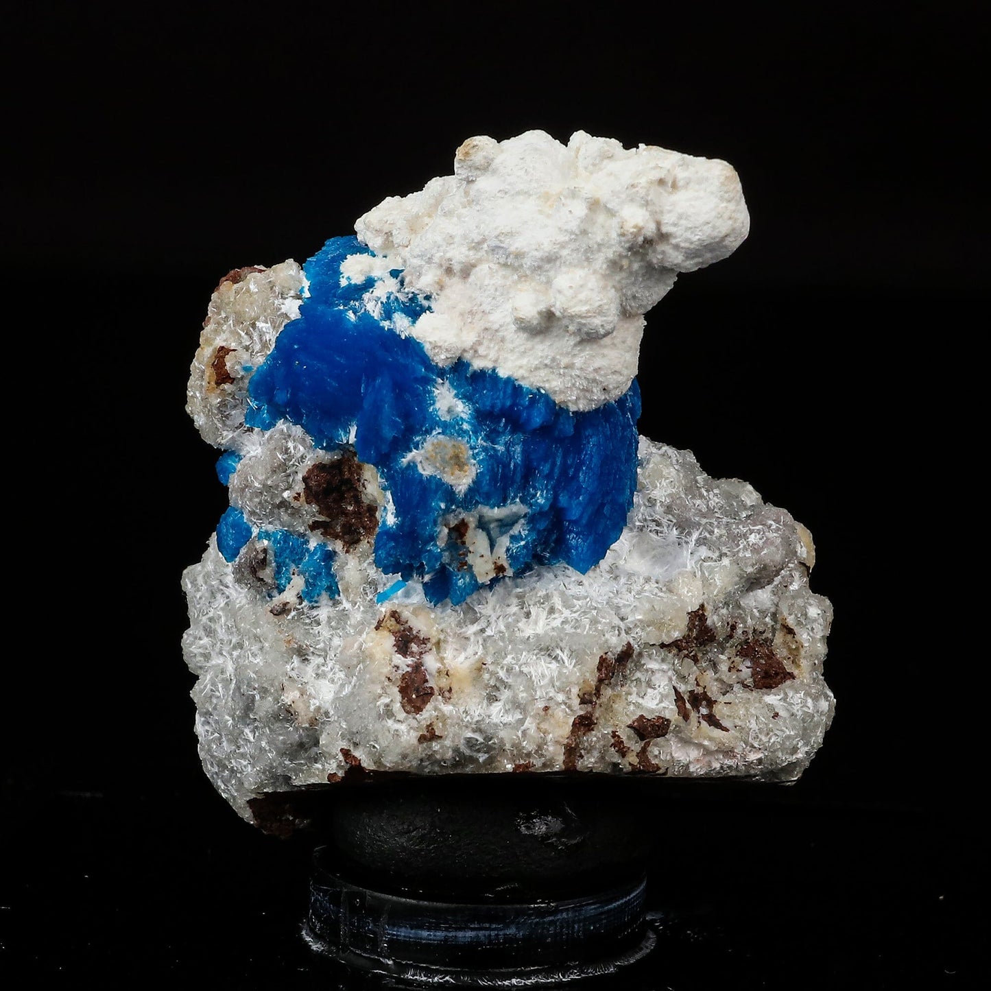 Cavansite on Modernite (Rare Find) Natural Mineral Specimen # B 6707 Cavansite Superb Minerals 