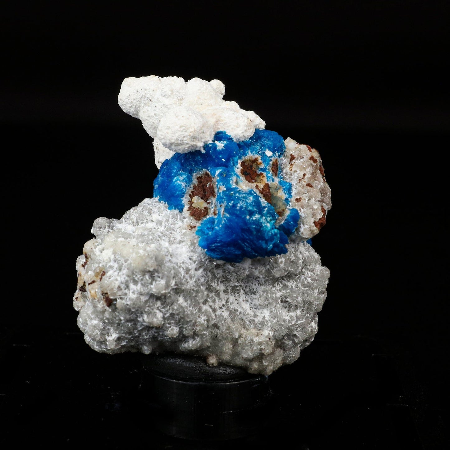 Cavansite on Modernite (Rare Find) Natural Mineral Specimen # B 6707 Cavansite Superb Minerals 