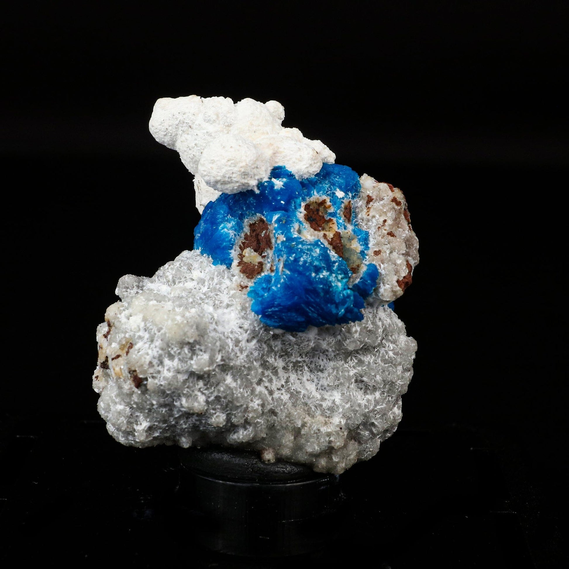 Cavansite on Modernite (Rare Find) Natural Mineral Specimen # B 6707 Cavansite Superb Minerals 