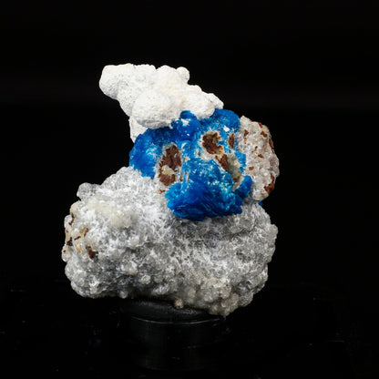 Cavansite on Modernite (Rare Find) Natural Mineral Specimen # B 6707 Cavansite Superb Minerals 