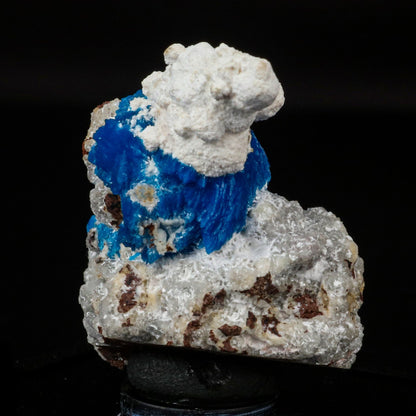 Cavansite on Modernite (Rare Find) Natural Mineral Specimen # B 6707 Cavansite Superb Minerals 
