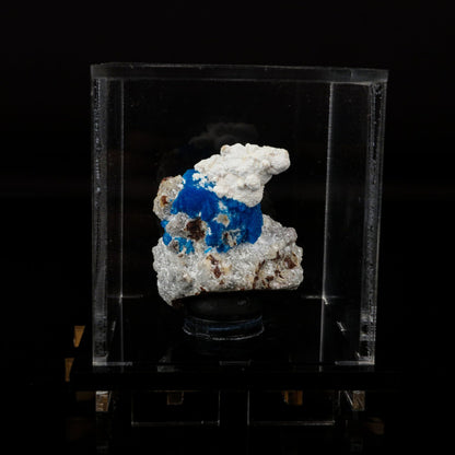 Cavansite on Modernite (Rare Find) Natural Mineral Specimen # B 6707 Cavansite Superb Minerals 
