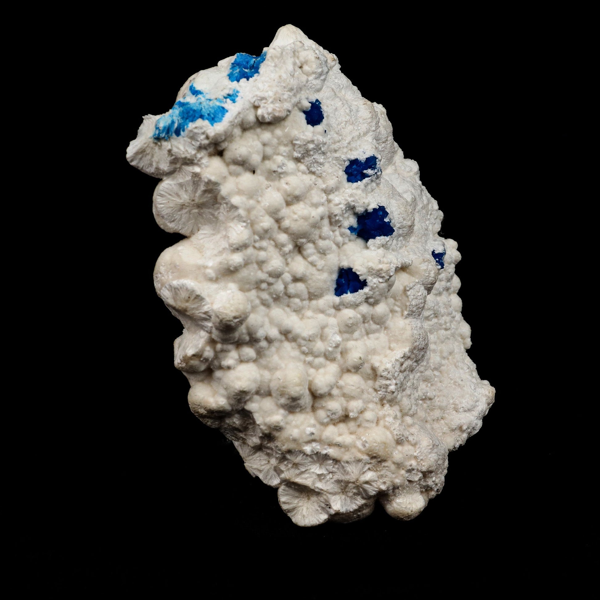 Cavansite on Mordenite Rare Find Natural Mineral Specimen # B 5141  https://www.superbminerals.us/products/cavansite-on-mordenite-rare-find-natural-mineral-specimen-b-5141  Features: Unusual combination of a large spherical rosette diameter of blue-green cavansite crystals on white mordenite-coated matrix . Primary Mineral(s): Cavansite Secondary Mineral(s): MordeniteMatrix: N/A 3 Inch x 2 InchWeight : 76 GmsLocality: Pune, Maharashtra, India Year of Discovery: 2021