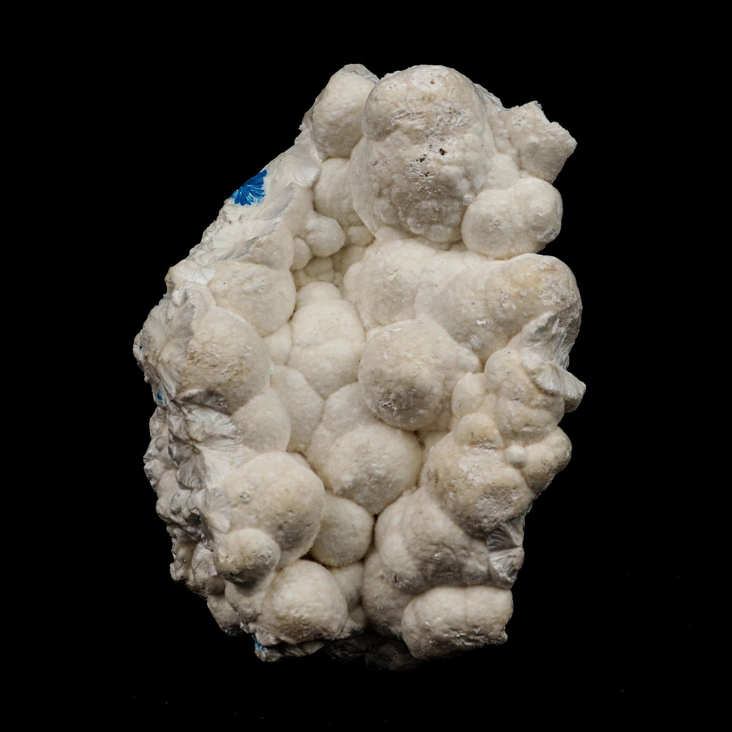Cavansite on Mordenite Rare Find Natural Mineral Specimen # B 5141  https://www.superbminerals.us/products/cavansite-on-mordenite-rare-find-natural-mineral-specimen-b-5141  Features: Unusual combination of a large spherical rosette diameter of blue-green cavansite crystals on white mordenite-coated matrix . Primary Mineral(s): Cavansite Secondary Mineral(s): MordeniteMatrix: N/A 3 Inch x 2 InchWeight : 76 GmsLocality: Pune, Maharashtra, India Year of Discovery: 2021