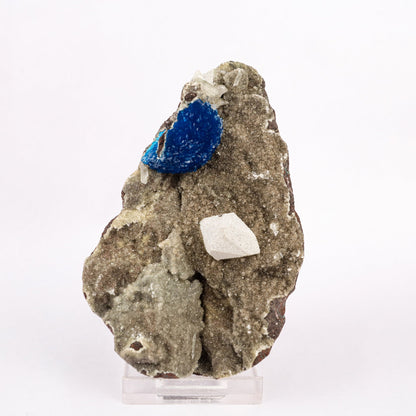 Cavansite with Coated Calcite Natural Mineral Specimen # B 6343 Cavansite Superb Minerals 