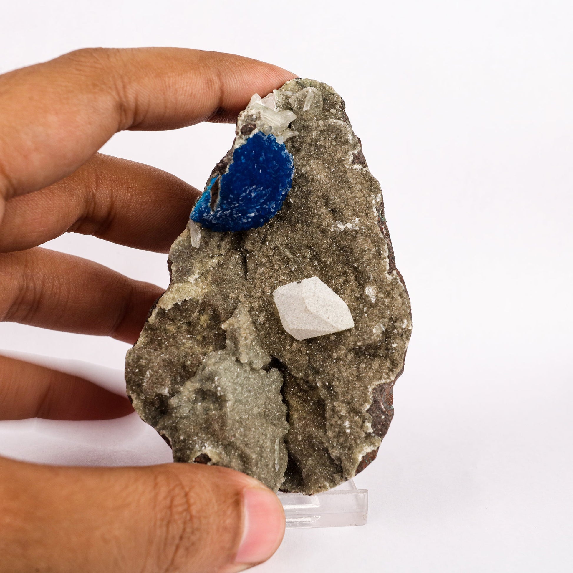 Cavansite with Coated Calcite Natural Mineral Specimen # B 6343 Cavansite Superb Minerals 