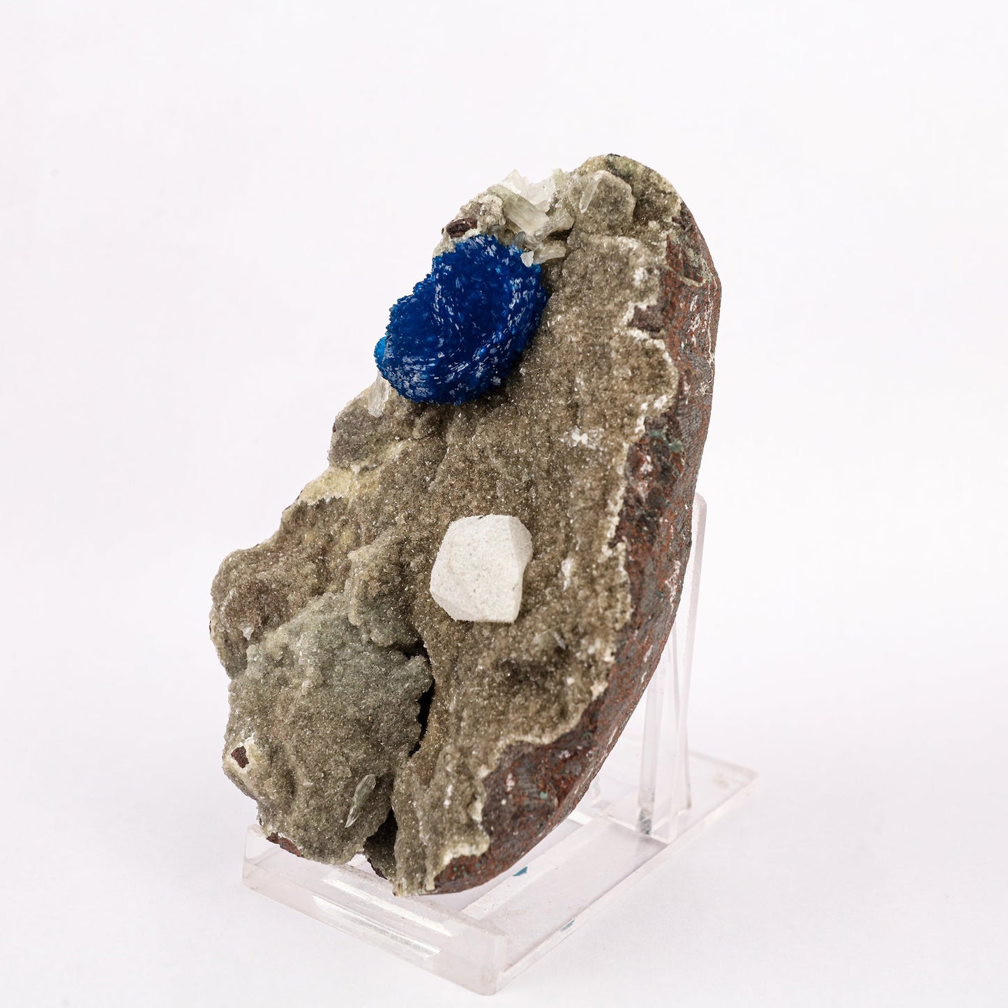 Cavansite with Coated Calcite Natural Mineral Specimen # B 6343 Cavansite Superb Minerals 