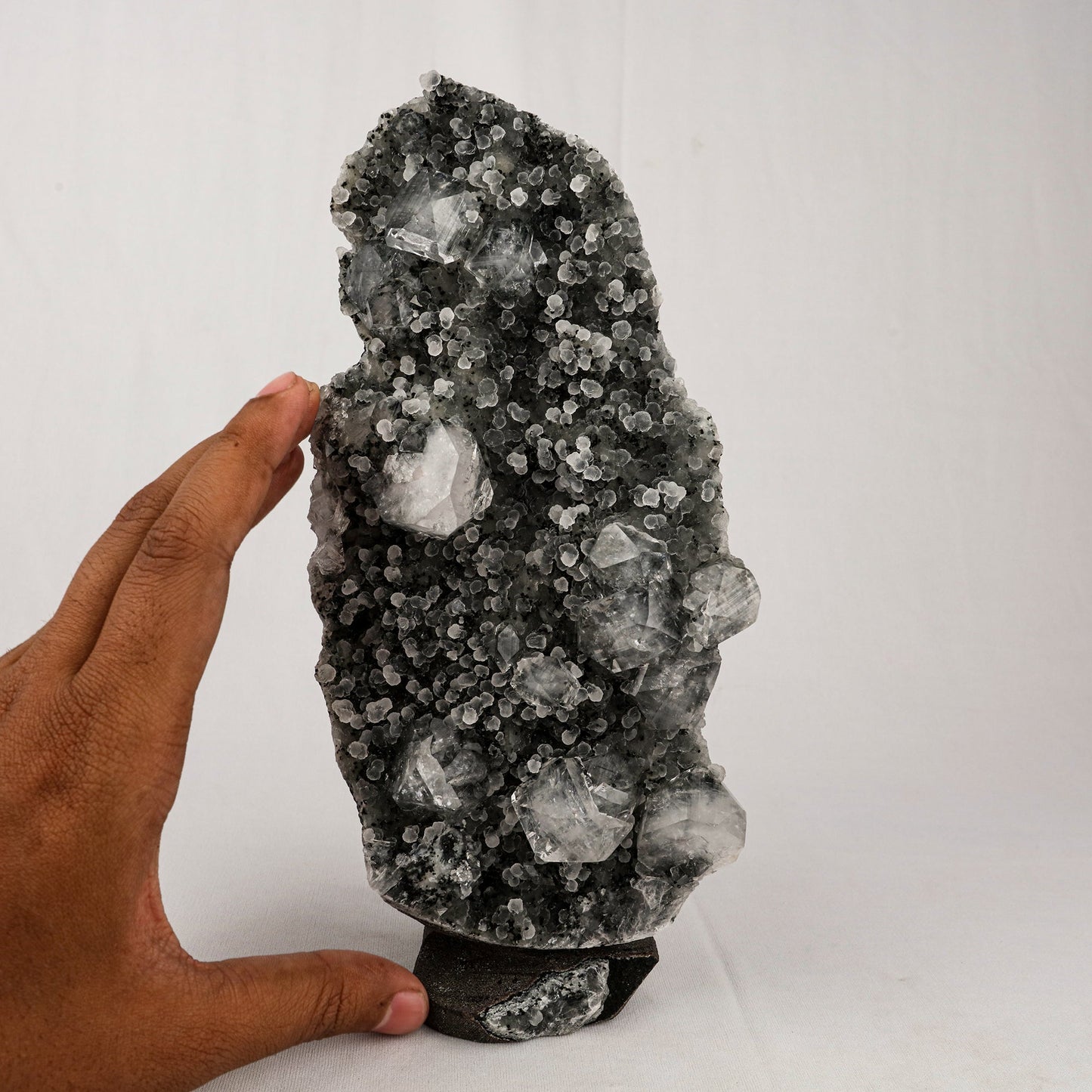 Chalcedony Black with Apophyllite Cubes Natural Mineral Specimen # B 5523 Chalcedony Superb Minerals 