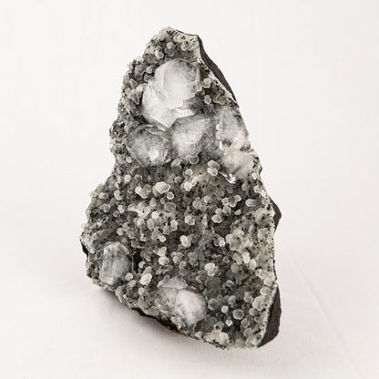 Chalcedony Black with Apophyllite Cubes Natural Mineral Specimen # B 5541 Apophyllite Superb Minerals 