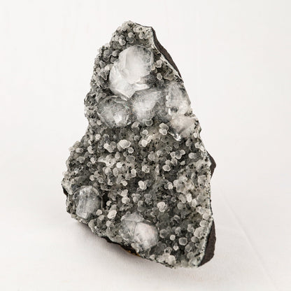 Chalcedony Black with Apophyllite Cubes Natural Mineral Specimen # B 5541 Apophyllite Superb Minerals 