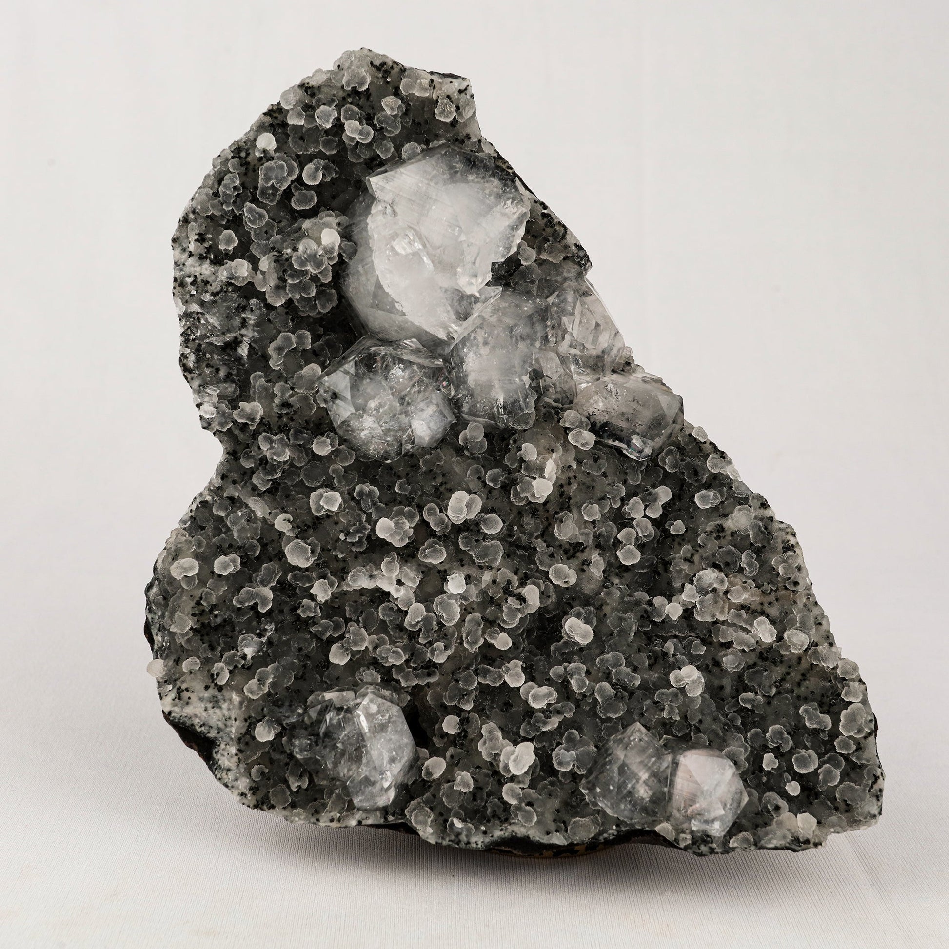 Chalcedony Black with Apophyllite Cubes Natural Mineral Specimen # B 5541 Apophyllite Superb Minerals 