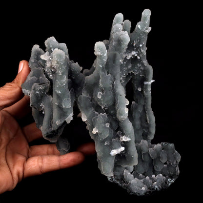 Chalcedony Coral Natural Mineral Specimen # B 4830  https://www.superbminerals.us/products/chalcedony-coral-natural-mineral-specimen-b-4830  Features: Magnificent specimen of delicate Chalcedony stalactites. The Chalcedony elongated structure is amazing. The stalactites are complete all over, colorless with milky white inclusions in the center, very sparkling and frosty. Many of them are doubly terminated. The Chalcedony stalactites are very lustrous