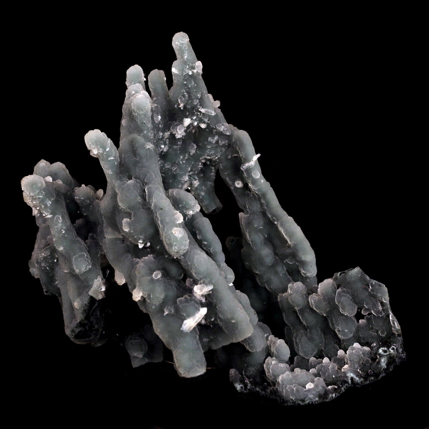 Chalcedony Coral Natural Mineral Specimen # B 4830  https://www.superbminerals.us/products/chalcedony-coral-natural-mineral-specimen-b-4830  Features: Magnificent specimen of delicate Chalcedony stalactites. The Chalcedony elongated structure is amazing. The stalactites are complete all over, colorless with milky white inclusions in the center, very sparkling and frosty. Many of them are doubly terminated. The Chalcedony stalactites are very lustrous