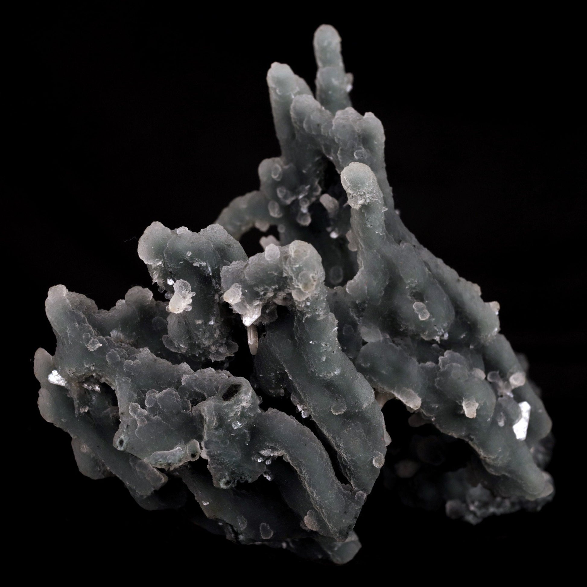 Chalcedony Coral Natural Mineral Specimen # B 4830  https://www.superbminerals.us/products/chalcedony-coral-natural-mineral-specimen-b-4830  Features: Magnificent specimen of delicate Chalcedony stalactites. The Chalcedony elongated structure is amazing. The stalactites are complete all over, colorless with milky white inclusions in the center, very sparkling and frosty. Many of them are doubly terminated. The Chalcedony stalactites are very lustrous