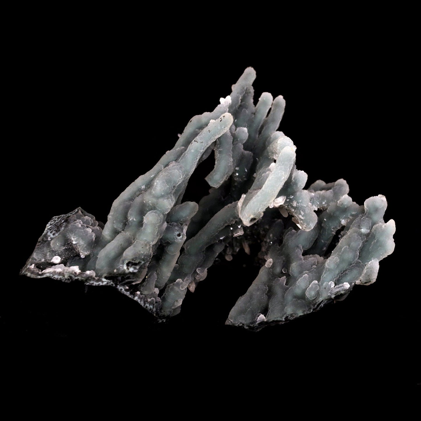 Chalcedony Coral Natural Mineral Specimen # B 4830  https://www.superbminerals.us/products/chalcedony-coral-natural-mineral-specimen-b-4830  Features: Magnificent specimen of delicate Chalcedony stalactites. The Chalcedony elongated structure is amazing. The stalactites are complete all over, colorless with milky white inclusions in the center, very sparkling and frosty. Many of them are doubly terminated. The Chalcedony stalactites are very lustrous