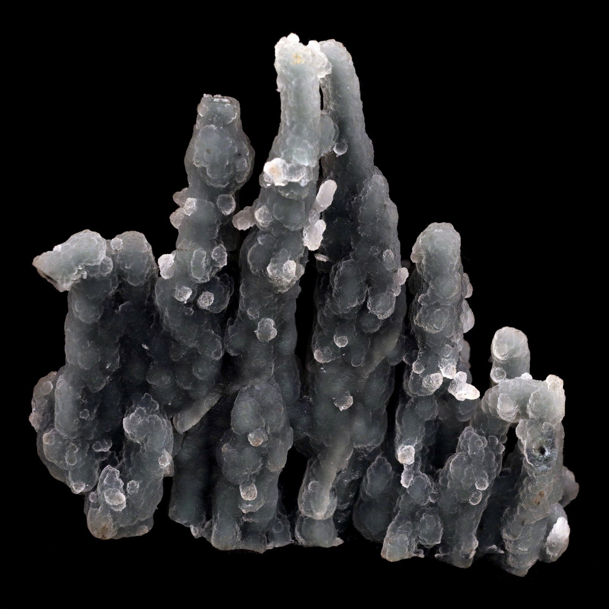 Chalcedony Coral Natural Mineral Specimen # B 4831  https://www.superbminerals.us/products/chalcedony-coral-natural-mineral-specimen-b-4831  Features: Magnificent specimen of delicate Chalcedony stalactites. The Chalcedony elongated structure is amazing. The stalactites are complete all over, colorless with milky white inclusions in the center, very sparkling and frosty. Many of them are doubly terminated. The Chalcedony stalactites are very lustrous