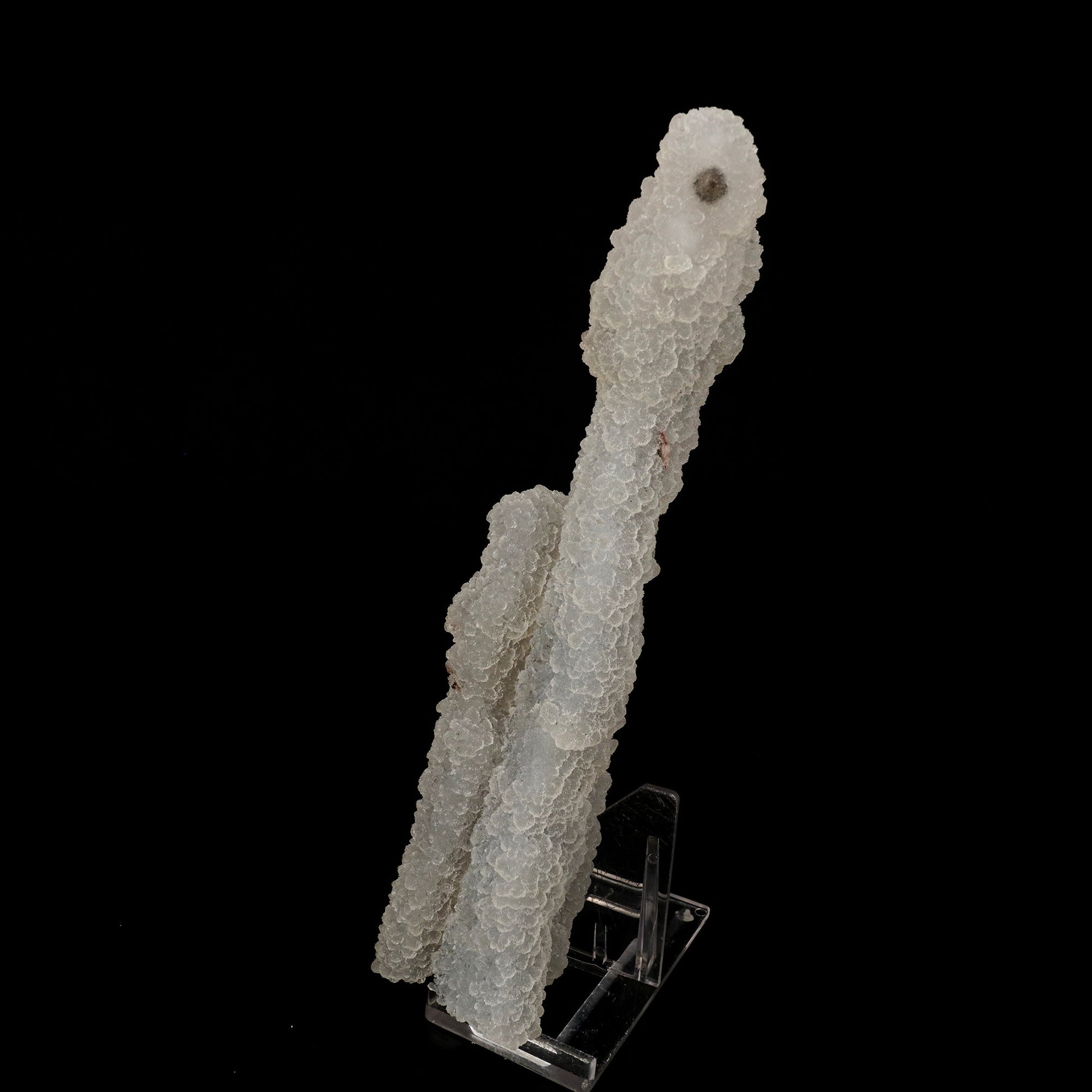 Chalcedony Coral Natural Mineral Specimen # B 6170 Chalcedony Superb Minerals 