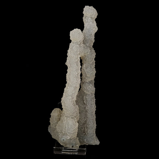 Chalcedony Coral Natural Mineral Specimen # B 6174 Okenite Superb Minerals 