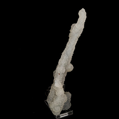 Chalcedony Coral Natural Mineral Specimen # B 6176 Chalcedony Superb Minerals 