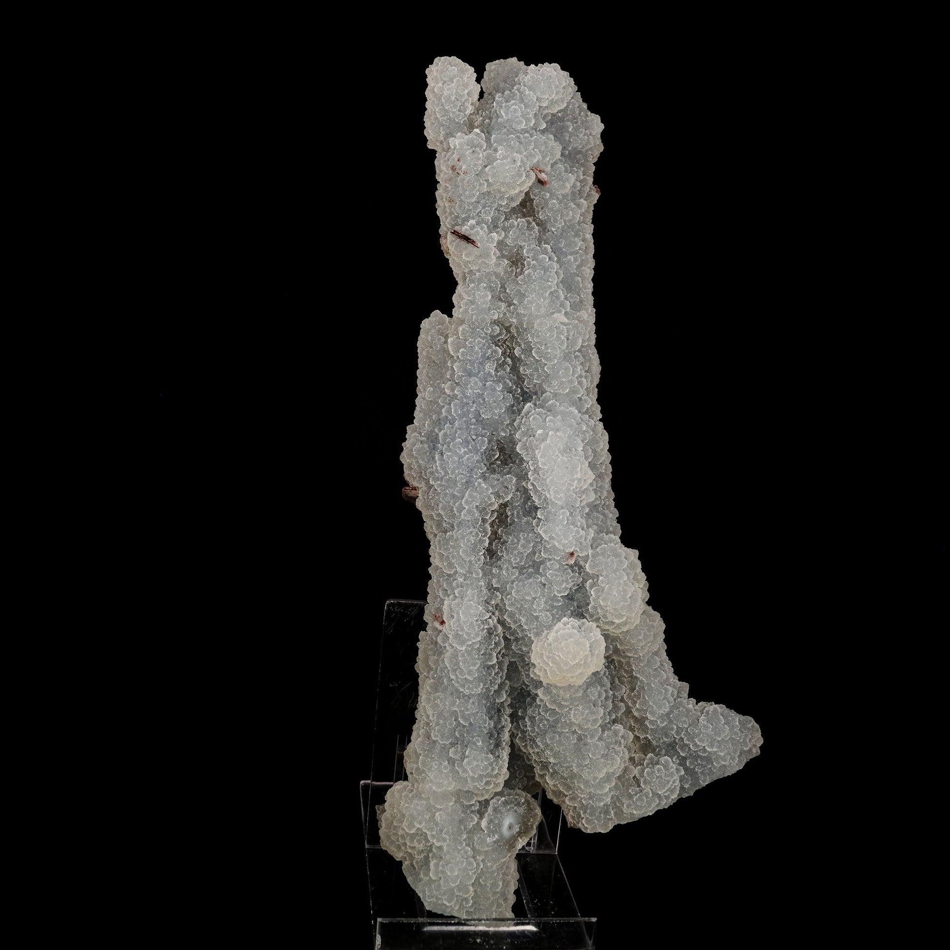 Chalcedony Coral Natural Mineral Specimen # B 6179 Chalcedony Superb Minerals 