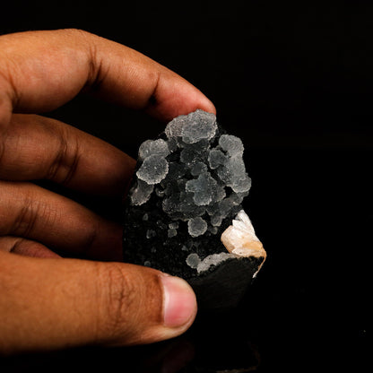 Chalcedony in Julgoldite geode Rarly found free standing Natural Mineral Specimen # B 6639 Julgoldite Superb Minerals 