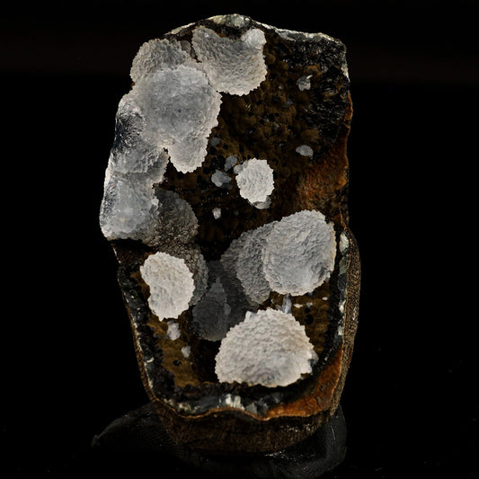 Chalcedony in Julgoldite geode Rarly found free standing Natural Mineral Specimen # B 6647 Chalcedony Superb Minerals 