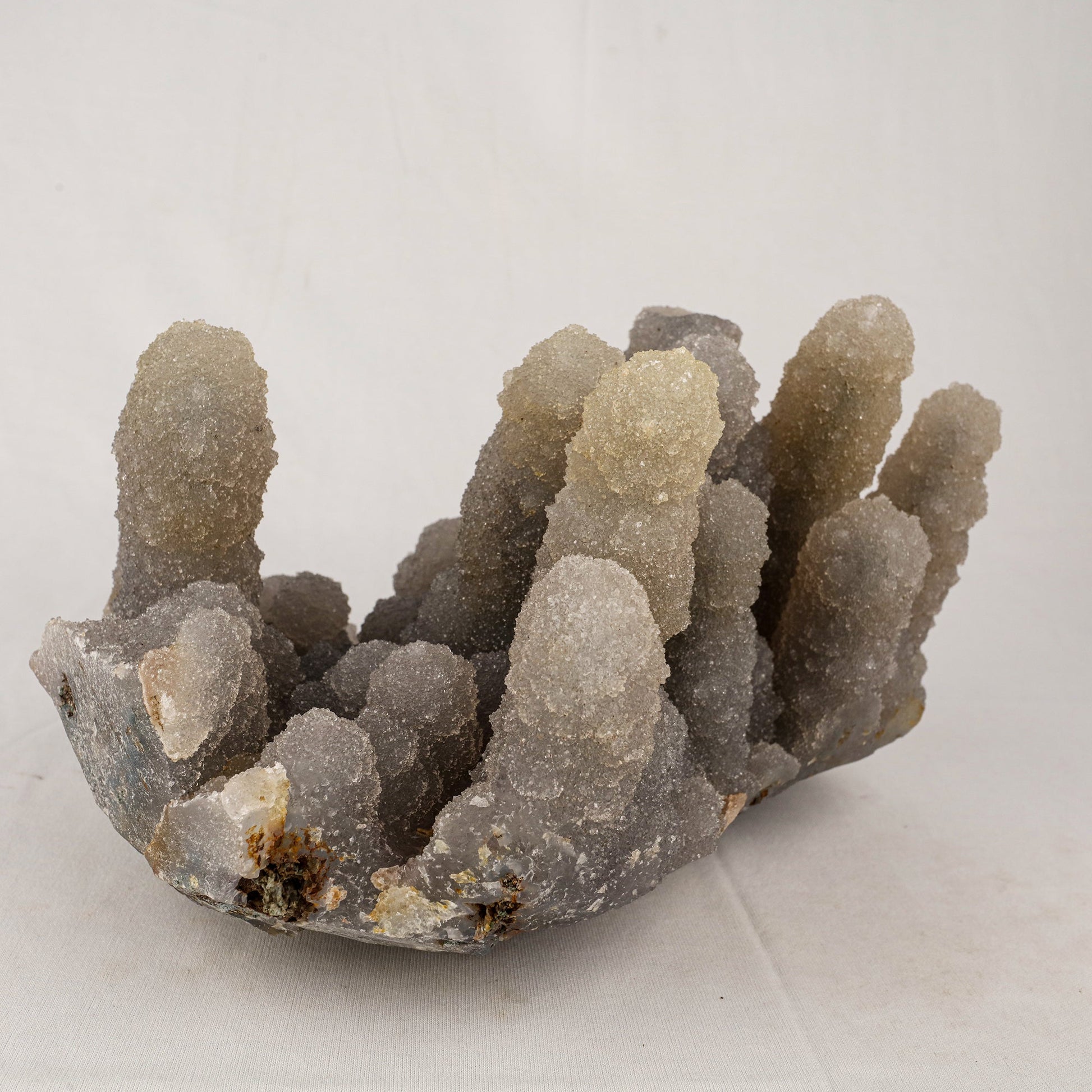 Chalcedony Stalactite Coral Formation Natural Mineral Specimen # B 5528 Chalcedony Superb Minerals 